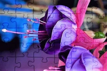 flores jigsaw puzzle