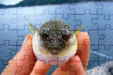 natural jigsaw puzzle