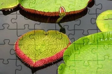 natural jigsaw puzzle