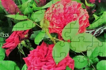 flores jigsaw puzzle
