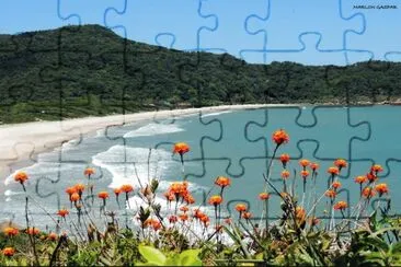 Praias de SC jigsaw puzzle