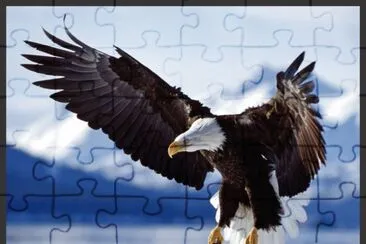 AGUILA CALVA jigsaw puzzle
