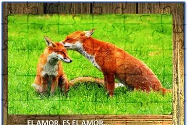 EL AMOR, ES EL AMORâ€¦