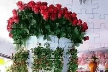 6 jigsaw puzzle