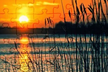 Nature jigsaw puzzle