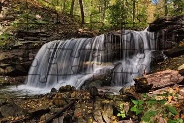 Nature jigsaw puzzle