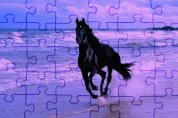 galop ... jigsaw puzzle
