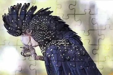 natural jigsaw puzzle