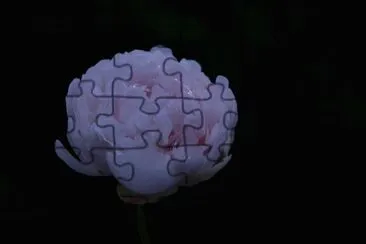  jigsaw puzzle
