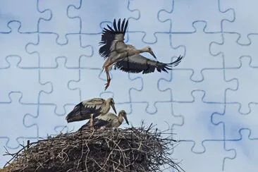 im Anflug
