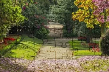 6 jigsaw puzzle