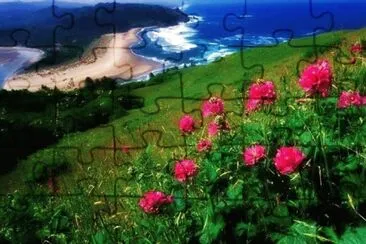 8 jigsaw puzzle