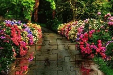 10 jigsaw puzzle