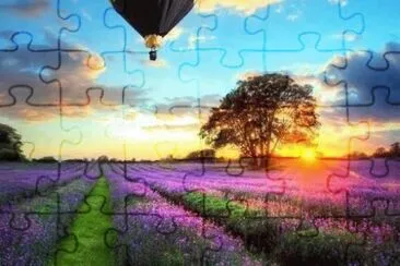 11 jigsaw puzzle