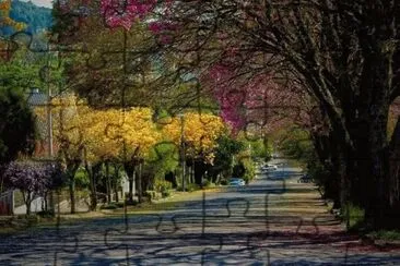 19 jigsaw puzzle