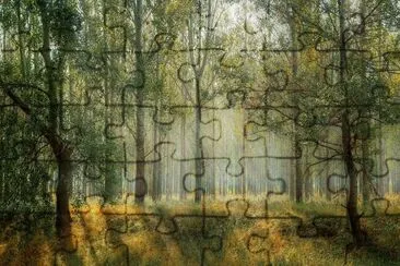 פאזל של Nature