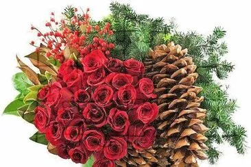 flores