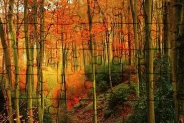 autum jigsaw puzzle