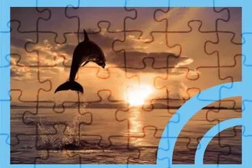 æµ·è±šåœ–ç‰‡å‰ªè£ jigsaw puzzle