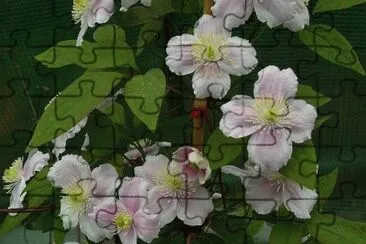 ClÄ—matite des montagnes jigsaw puzzle