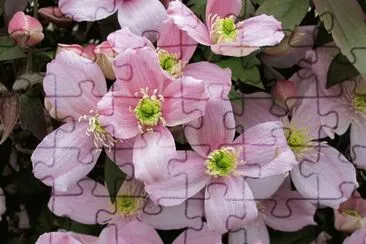 ClÄ—matite des montagnes jigsaw puzzle