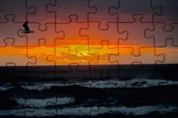 Floripa filial do paraÃ­so jigsaw puzzle