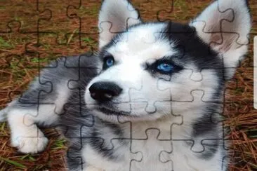 â™¥