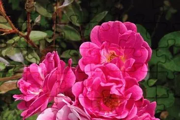 flores jigsaw puzzle