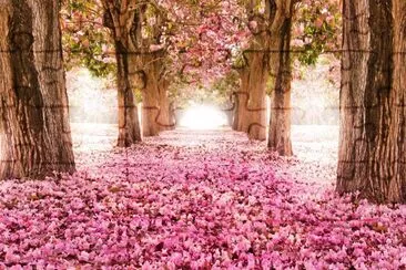 paisaje jigsaw puzzle