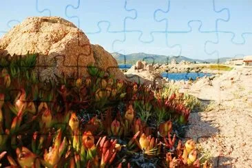 NATUREZA jigsaw puzzle