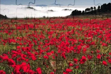 FLORES ROJAS jigsaw puzzle
