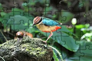 natural jigsaw puzzle