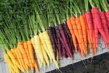 cores