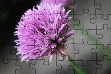 flores jigsaw puzzle