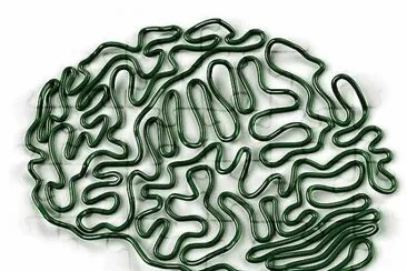 interessante jigsaw puzzle