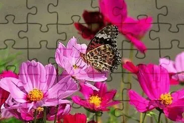 flores jigsaw puzzle
