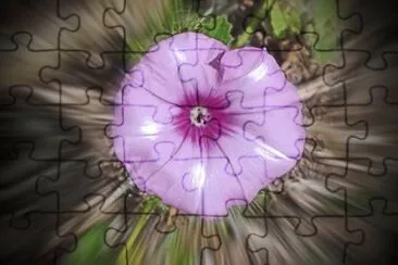 Lila jigsaw puzzle