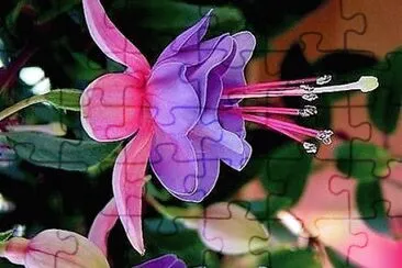 flores jigsaw puzzle