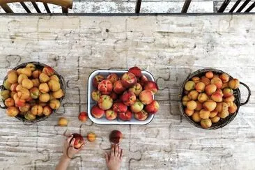 frutas