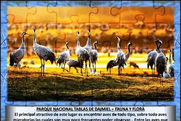 PARQUE NACIONAL TABLAS DE DAIMIEL â€“ FAUNA Y FLORA