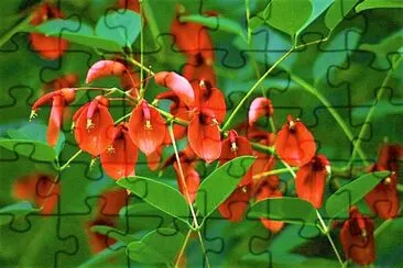 flores jigsaw puzzle