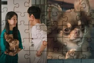still 17 jigsaw puzzle
