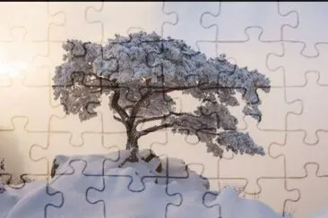 lonely jigsaw puzzle