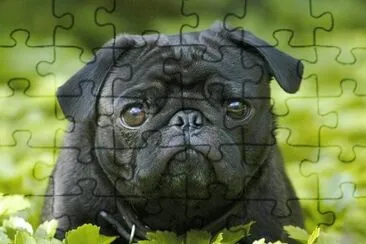190