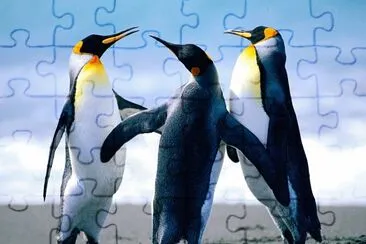 miguelg jigsaw puzzle