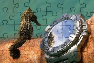 interessante jigsaw puzzle