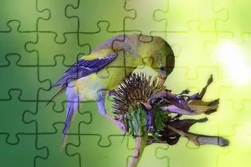 פאזל של natural