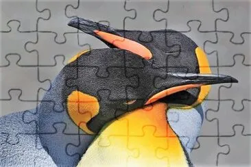natural jigsaw puzzle