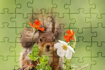 flores