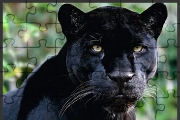 PANTERA jigsaw puzzle